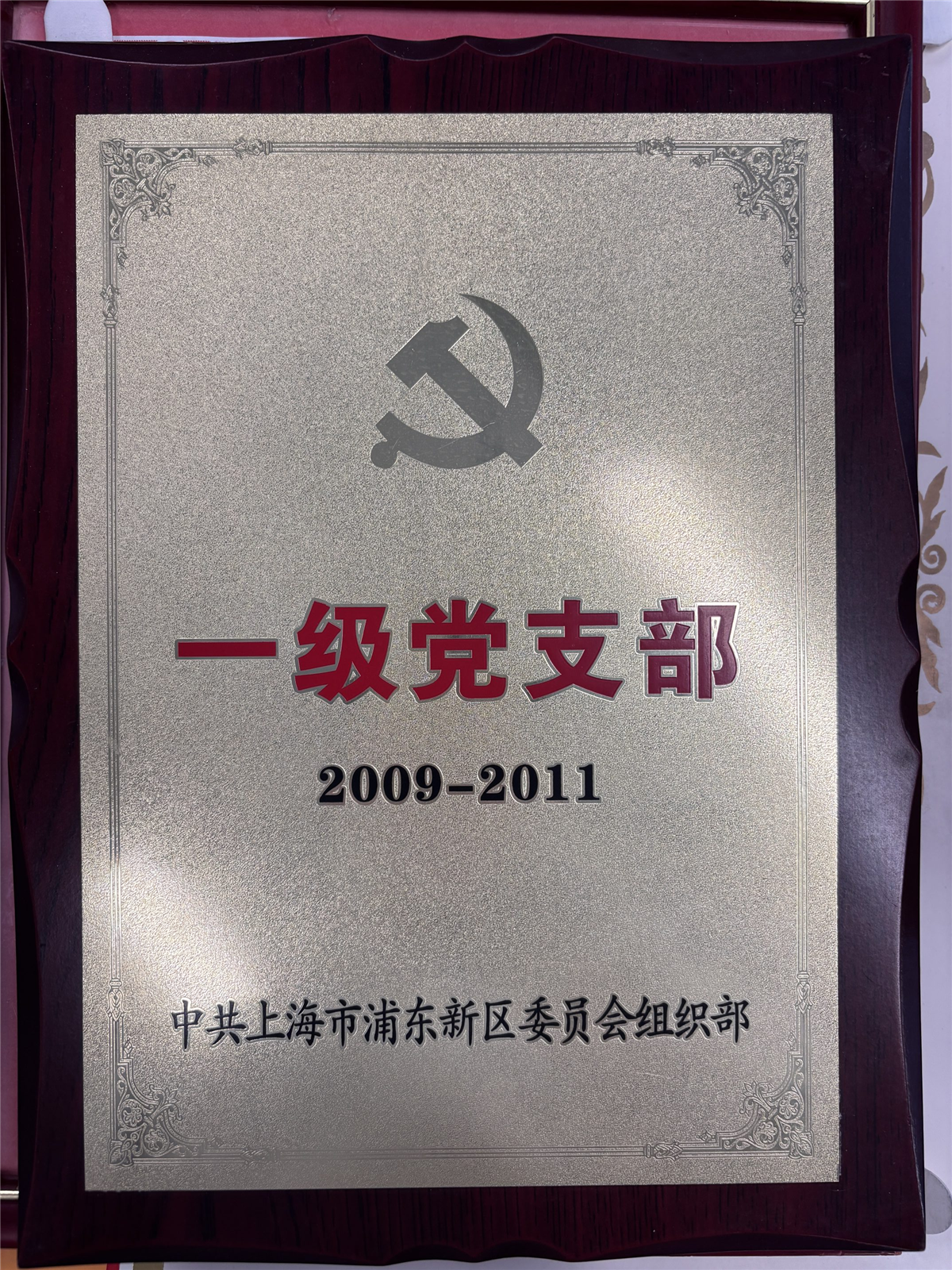 一级党支部2009-2011.png