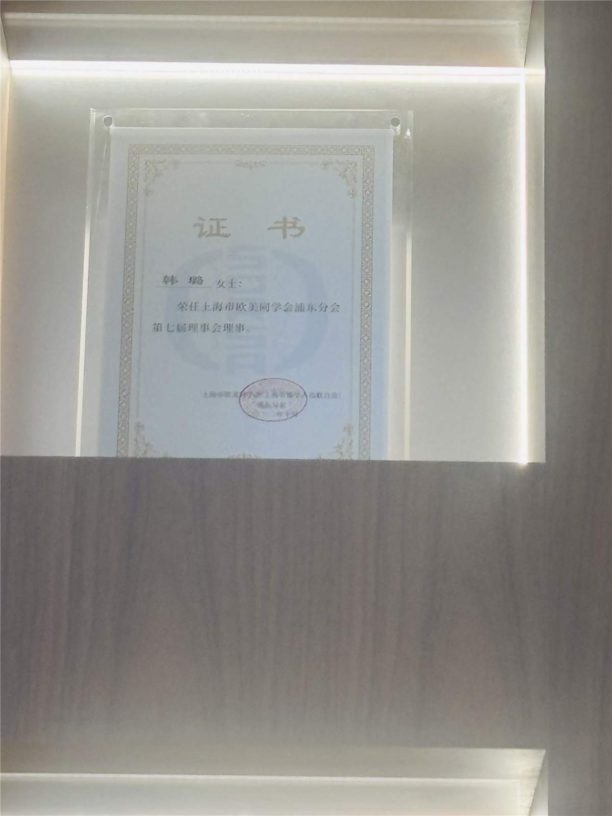 韩璐-上海市欧美同学会浦东分会第七届理事会理事-2022.10.jpg